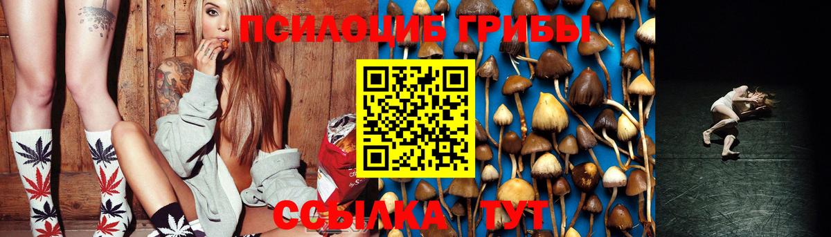 Псилоцибиновые грибы ЛСД Заводоуковск