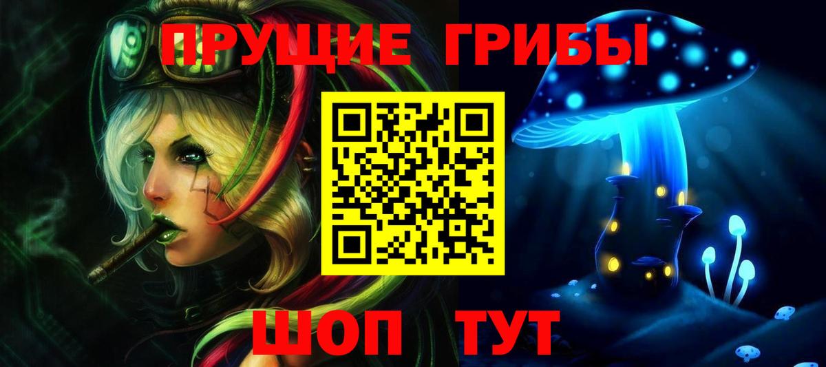 где можно купить наркотик  Галлюциногенные грибы Psilocybe  Вход с VPN  Заводоуковск  Галлюциногенные грибы Cubensis 